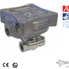 Van điện từ phòng nổ 21IH Ex d N.C.